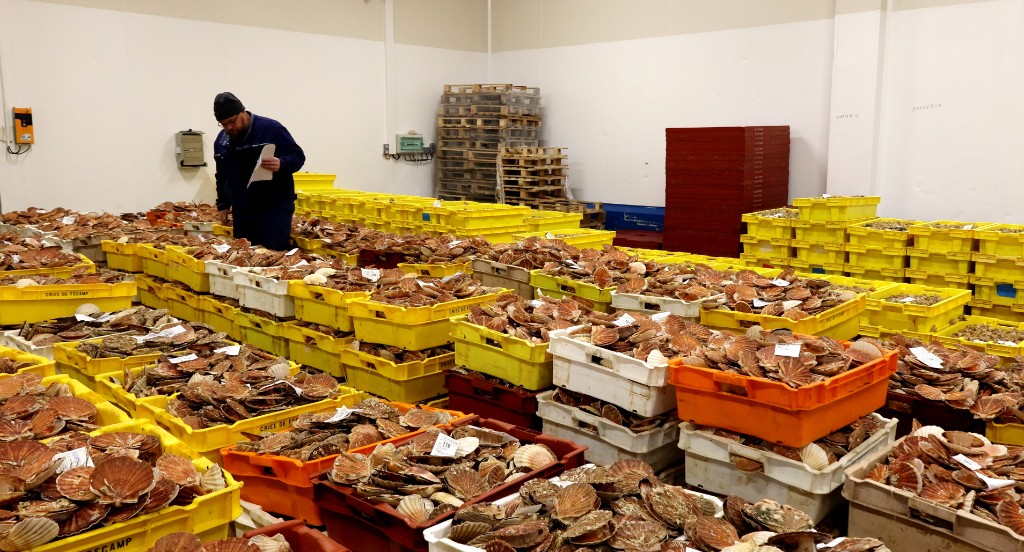 Vue aérienne du port de Fécamp avec les bateaux de pêche amarrés et les camions de la Criée