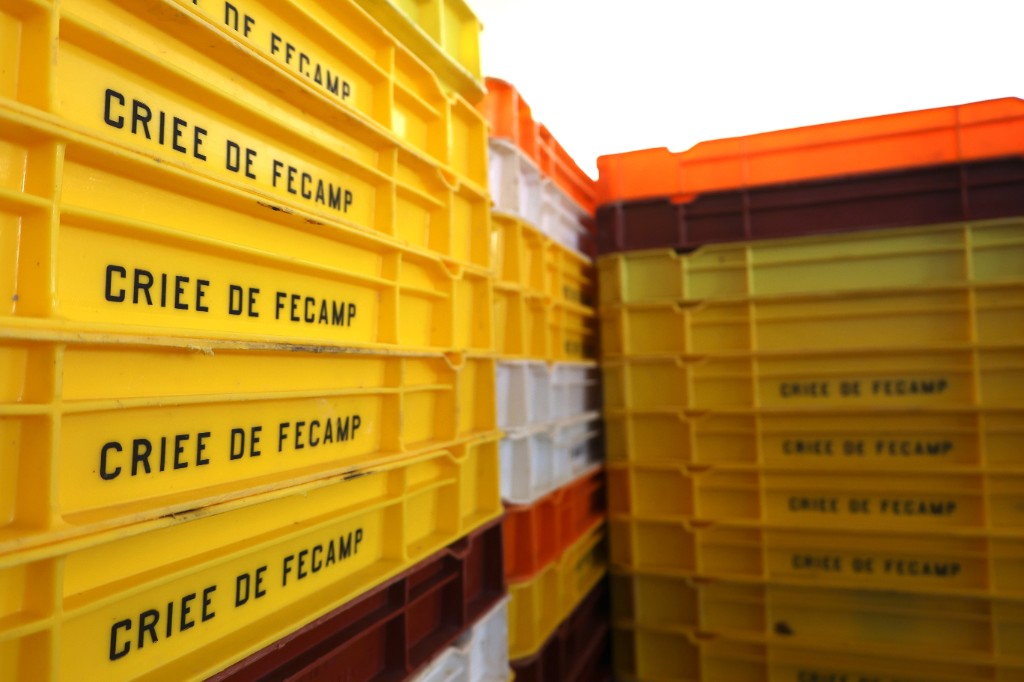 Caisses et bacs plastique de pêche dans la halle à marée de la Criée Côte d'Albâtre