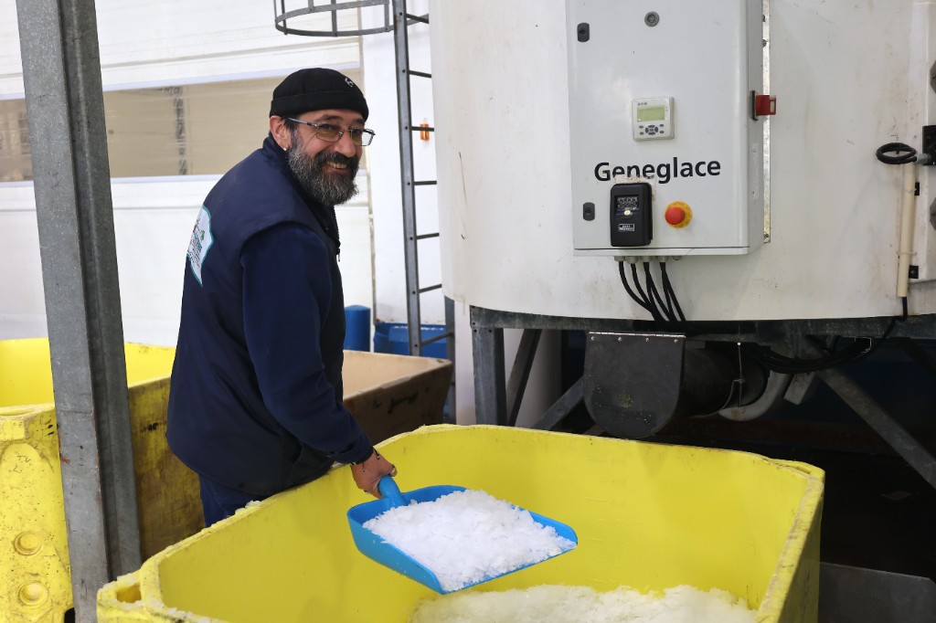 Glace dans des caisses de poissons frais pour la conservation