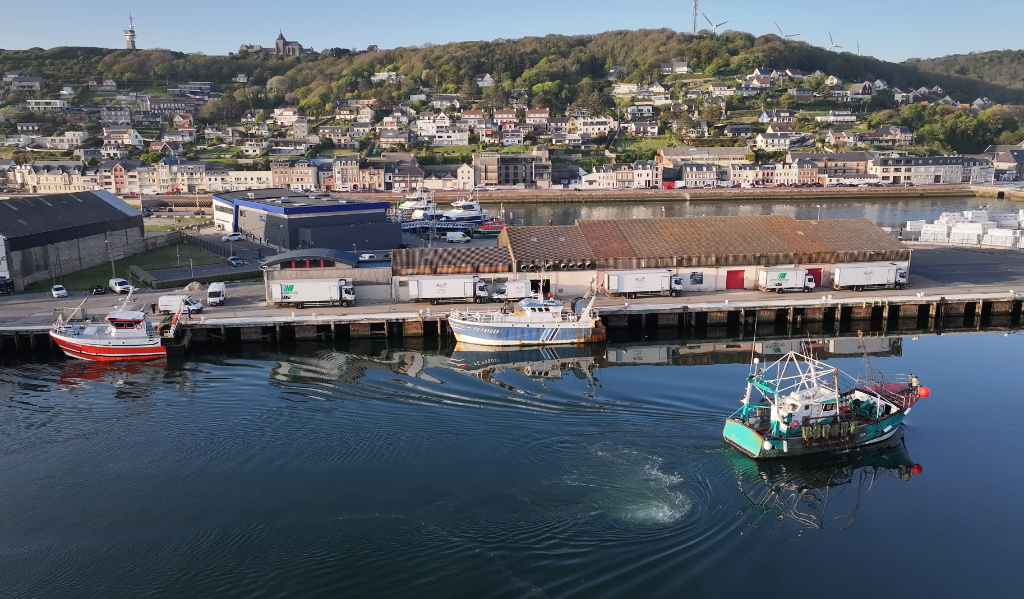 Vue aérienne du port de Fécamp avec les bateaux de pêche et la marina au lever du soleil